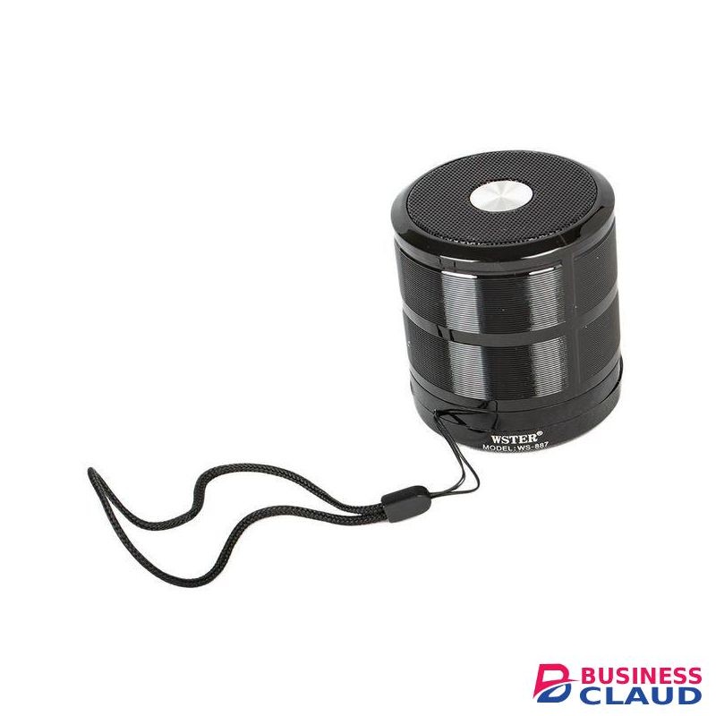 Wster WS-887 - Mini Bluetooth Wireless Speaker