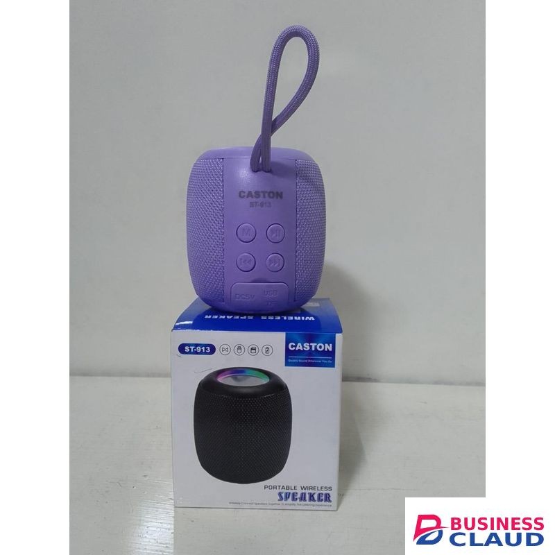 Caston ST-913 Portable Wireless Speaker