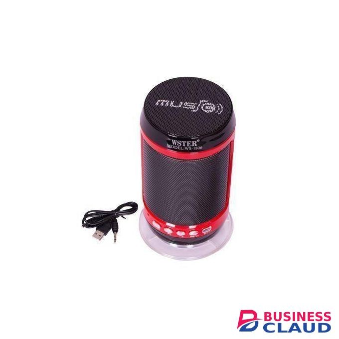 Wster Bluetooth Speaker Radio,USB,card and AUX mode