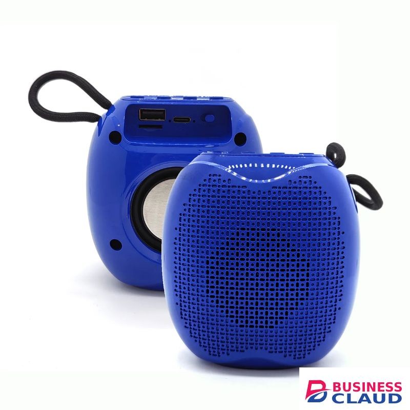 Wireless Speaker Mini Wireless Bass BT Speaker with FM Radio TWS Woofer