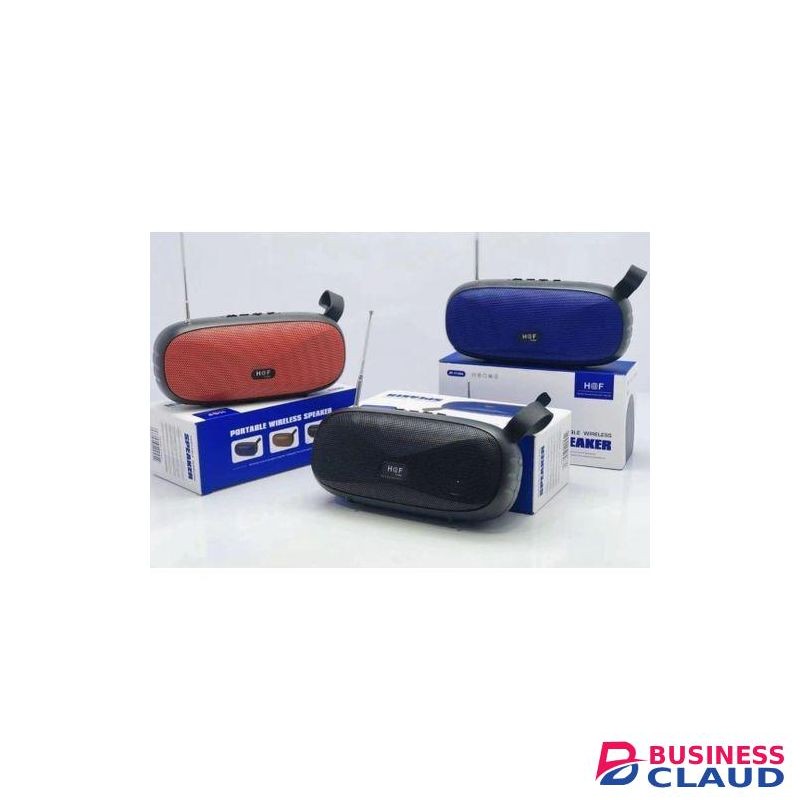 1066 BT Speaker