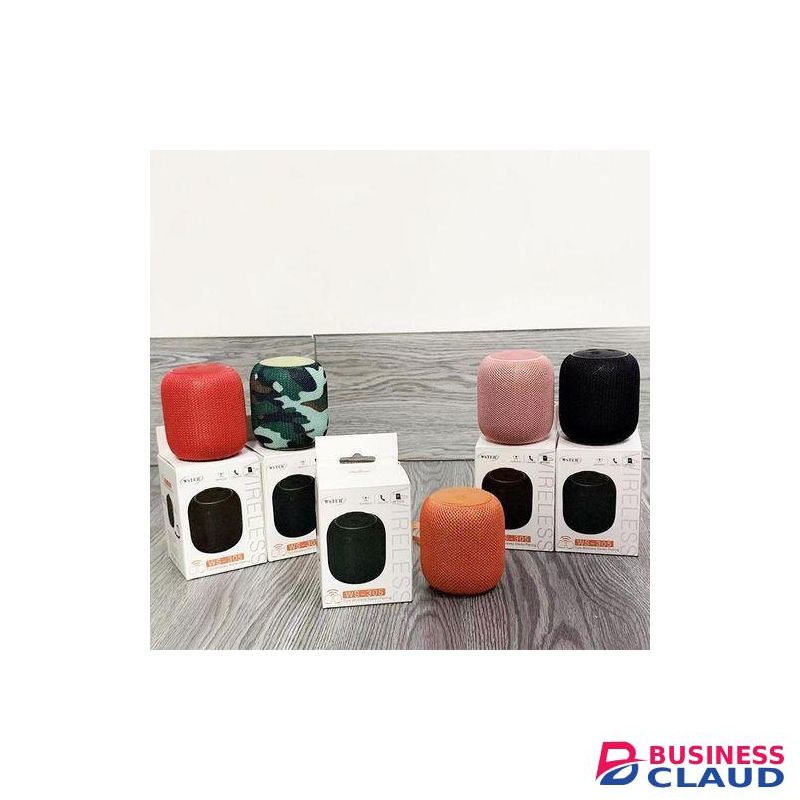 Wster WS-305 Portable Mini Bluetooth Wireless Speaker