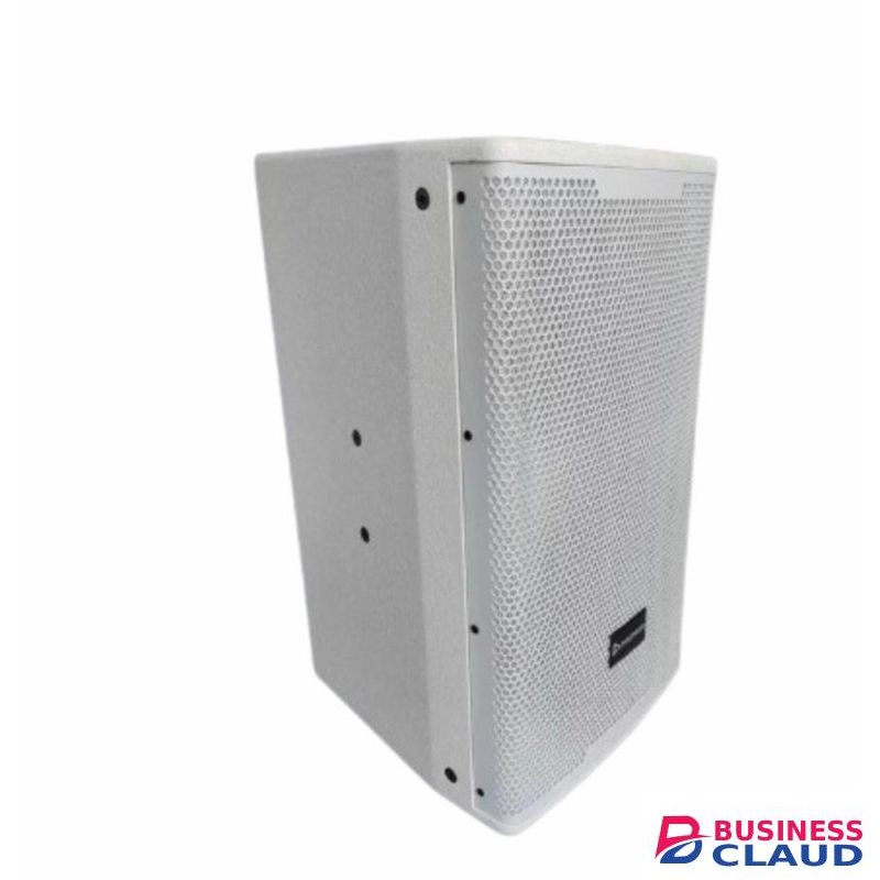 Premier 12 wooden speaker