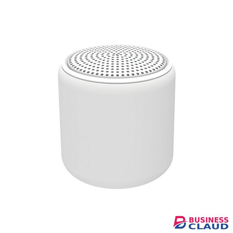 EchoMini Portable Bluetooth Speaker – White