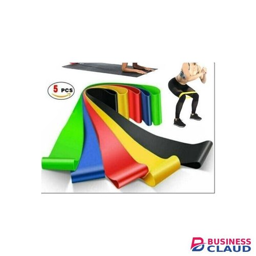 5 Piece Set Resistance Loop Exercise Body Bands With Carry Bag