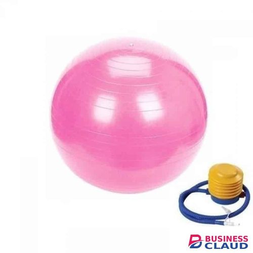 Gym Exercise Diameter Exercise Therapy Yoga Ball With Pump