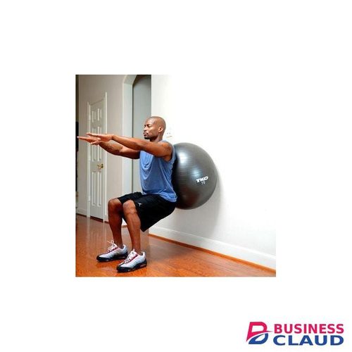 Anvil TKO Fitness Stability Ball