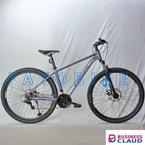 Bike Trinix M136 – Size 29