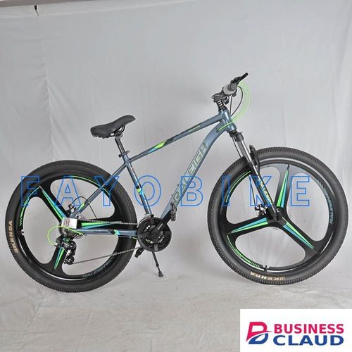 Bike Raleigh Size 29