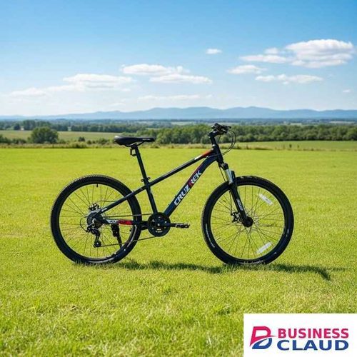 Bike Cruz Trek Kudos 24 Junior/Teen MTB Lightweight Alloy Frame 7-Speed-