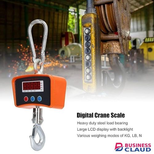 Hanging Scale Industrial Crane Scale with Precision Sensor Suitable for Farm Weighing (500kg