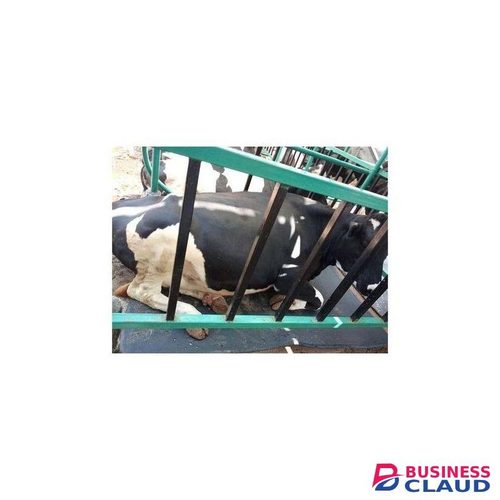 Cow Mattresses Black Rubber 3 By 5 Ft 24mm Thickness