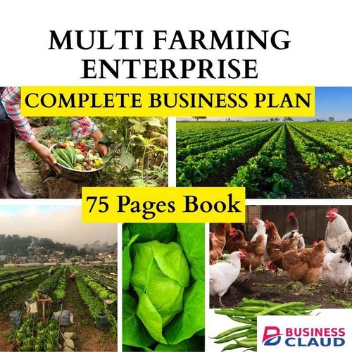 Multi Farming Enterprise: Complete Business Plan