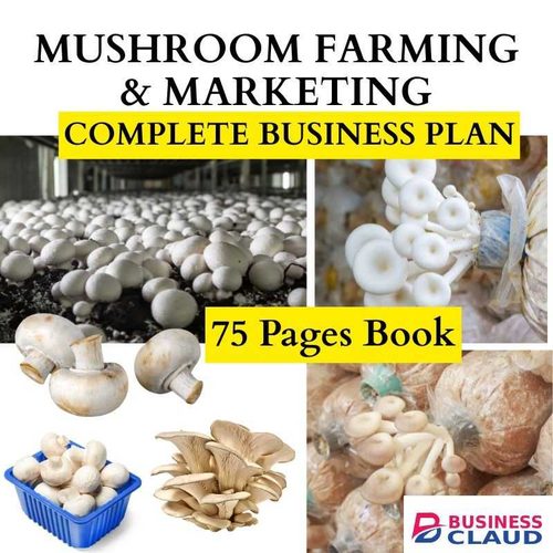 Mushroom Farming & Marketing: Complete Business Plan For Kenyans