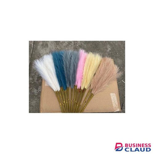 Elegant Natural Dried Pampas Grass for Home Décor, Weddings, and Events
