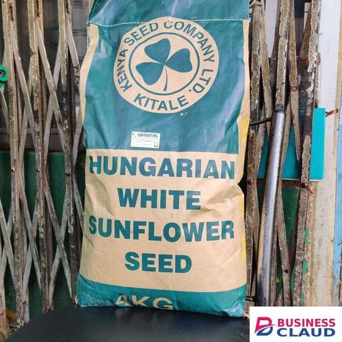 Hungarian white sunflower seed