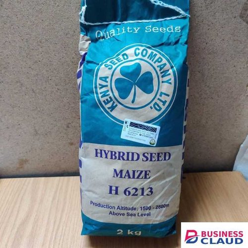 Hybrid seed maize H6213 (kenya seed company) in Cable-black