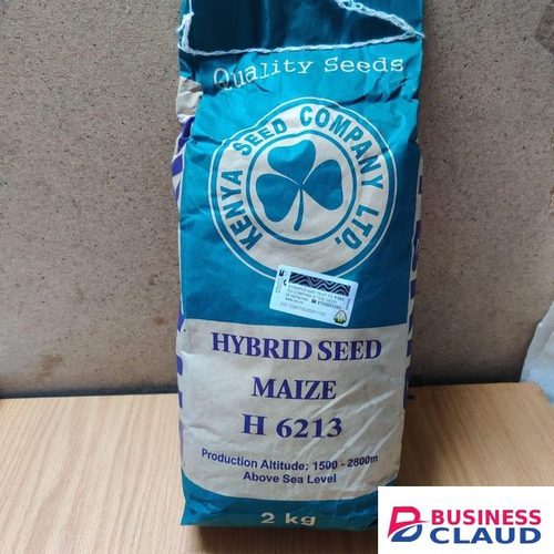 Hybrid seed maize H6213 (kenya seed company)