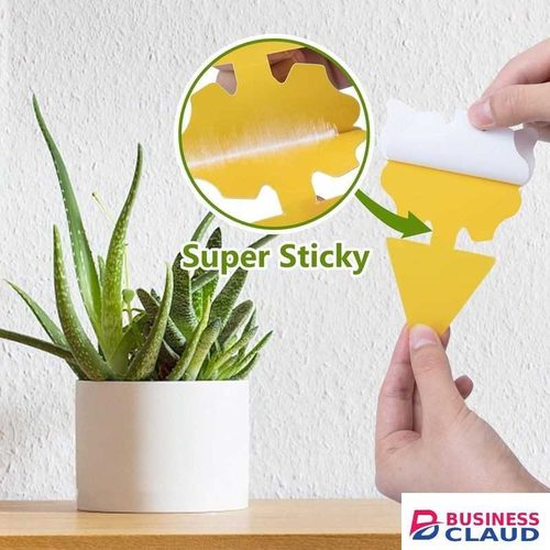 40 Pack Fungus Gnat Traps for House Indoor, Fungus Traps Fruit Fly Traps for Indoors Gnats Sticky Traps for Plants Yellow Sticky Traps for Gnats