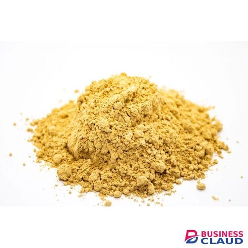 Lion’s Mane Mushroom Powder for brain boost