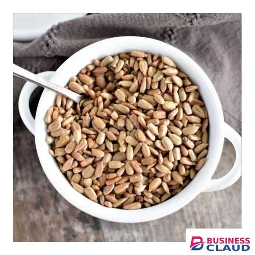 Crunchy Roasted Sunflower Seeds – 100% Natural, Salted & Ready-to-Eat Snack High Protein, Fiber & Healthy Fats Perfect for Snacking, Baking & Salads Fresh, Tasty & Nutrient-Rich