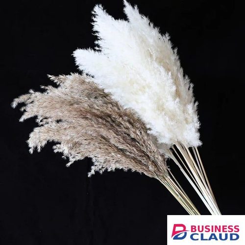Natural Dried Pampas Grass – 10 Stems Decorative Wedding Bouquet Home Interior Floral Arrangement Rustic Boho Grass for Living Room, Bedroom, Event Decorations, DIY Crafts