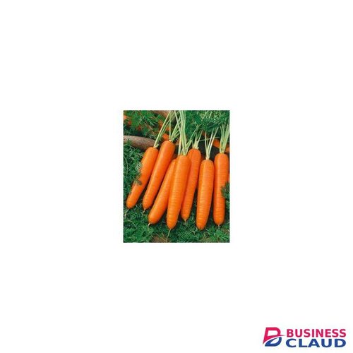 Carrot Nantes Seeds