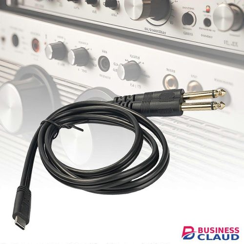1 to 2 USB C to 6.35mm Conversion Cable Type C to 1/4inch Connector Cord for Professional Equipment