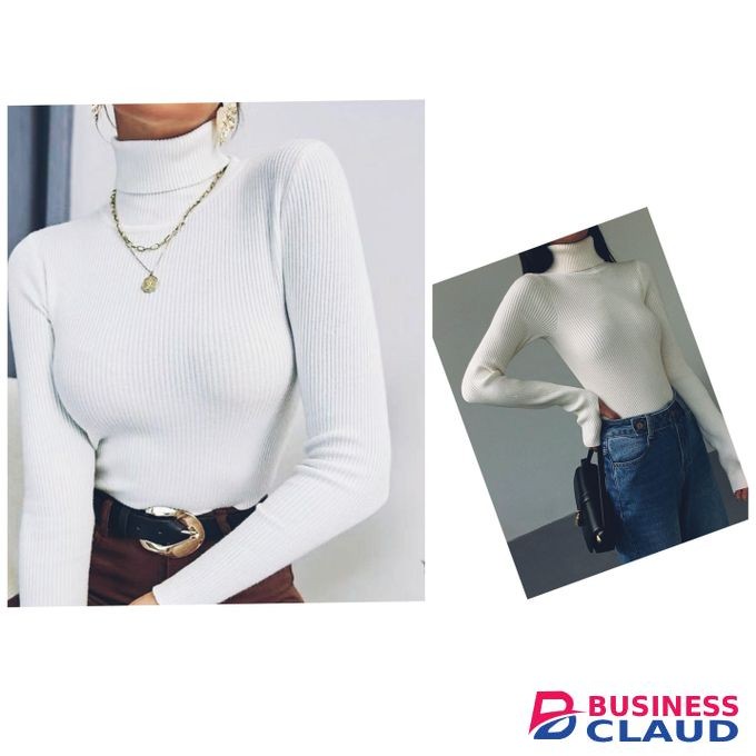 Fancy, Chiq Ladies' Knitted Pullneck Sweater Tops - White