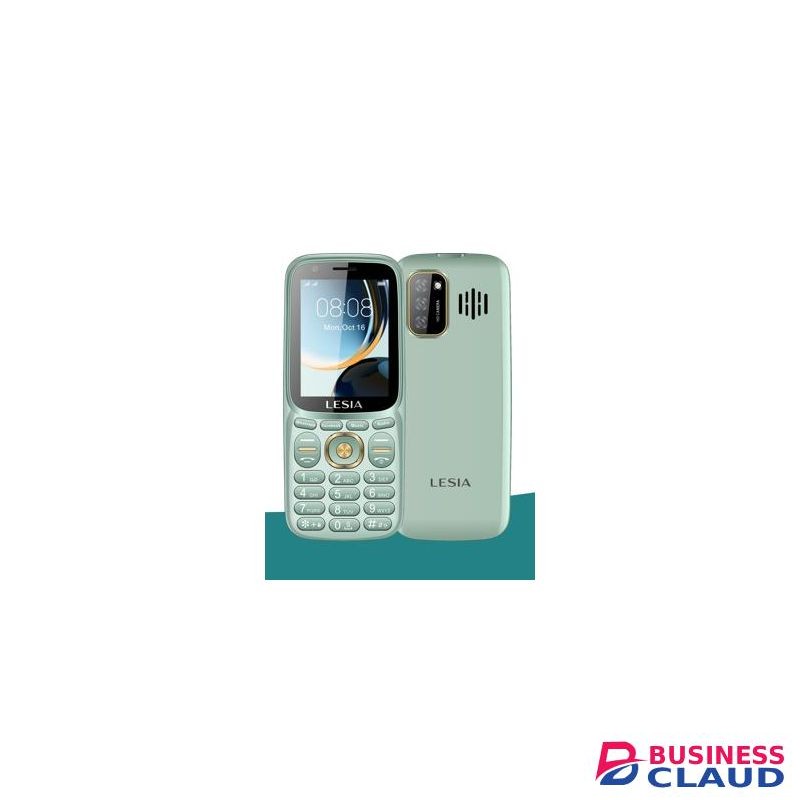 LESIA L281 2.8"QVGA Dual Sim 2500mah feature phone with Camera