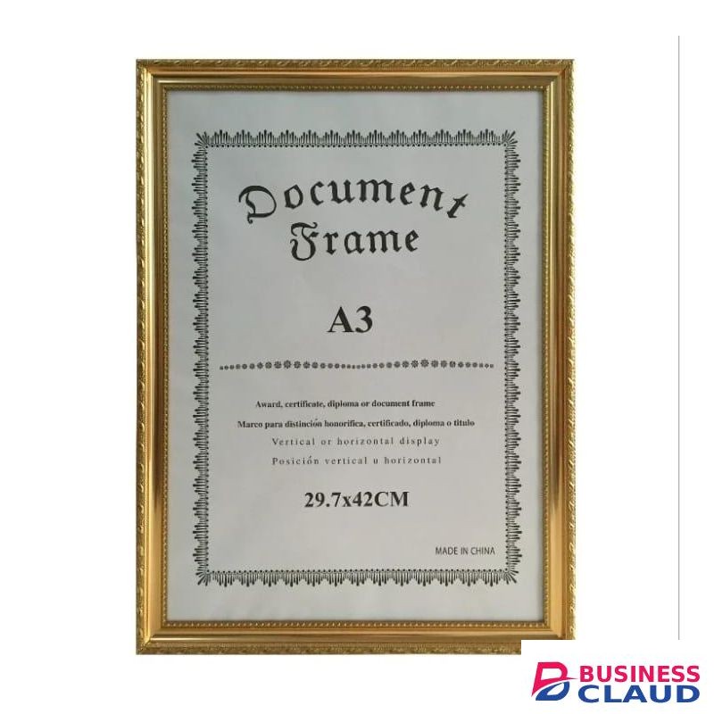 A3 SIZE DOCUMENT/CERTIFICATE/PHOTO FRAME.
