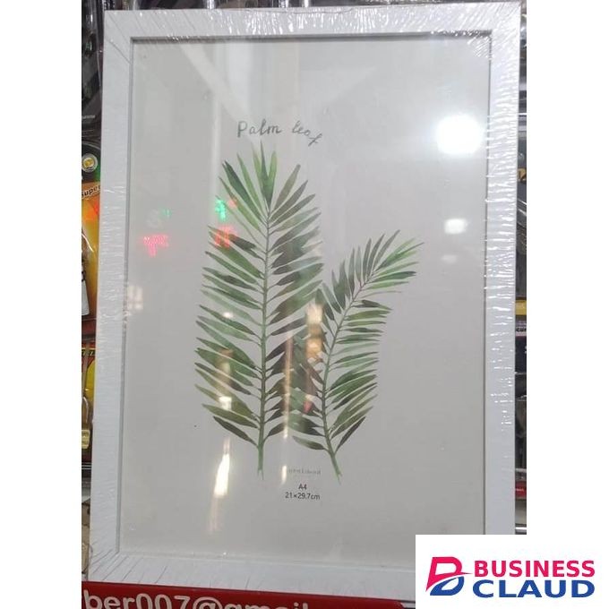 A4 CERTIFICATE/DOCUMENT/PHOTO FRAMES,ecor A4 Size Photo Frame For Wall White Picture Frame For Home and Office Decoration (White-A4-2 Frame)