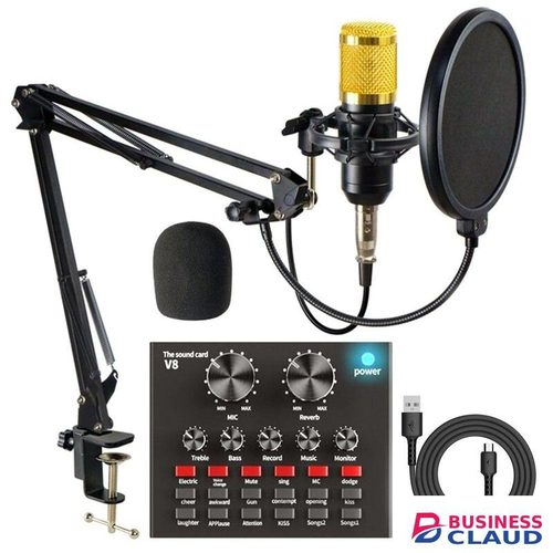 BM800 Studio Kit with V8 Audio Card and Tripod Stand
