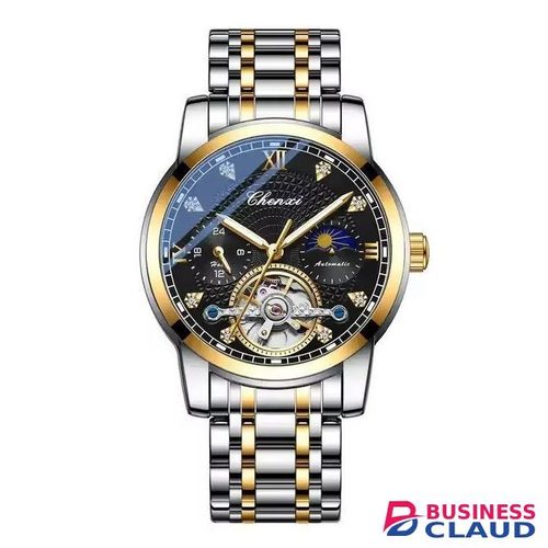 8870 Luxury Automatic Mechanical Watch – Gold & Silver