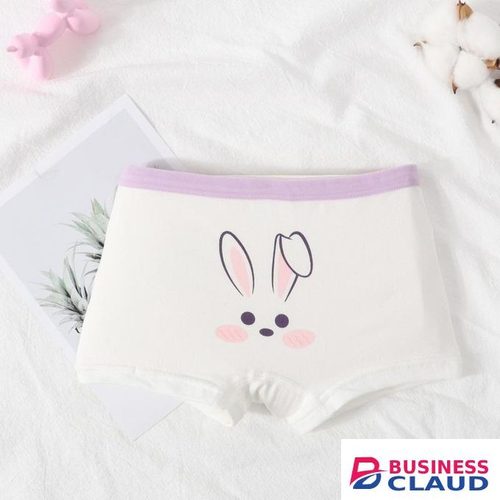 Arsuxeo 4pcs Children's Cotton Panties Cartoon Cute Girls Baby Underwear Boxer Shorts