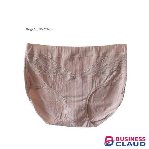 High Quality PLUS SIZE LADIES PANTIES 5XXXXXL BEIGE