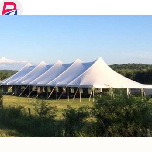 Spacious 300-seater tent for corporate retreats under 400000 