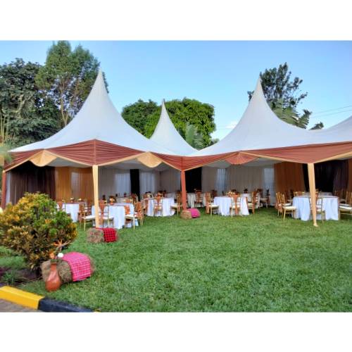 Big High Peak Tent for 500 Guests Outdoor Events under 570000 