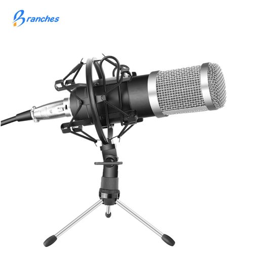 Sound Microphone
