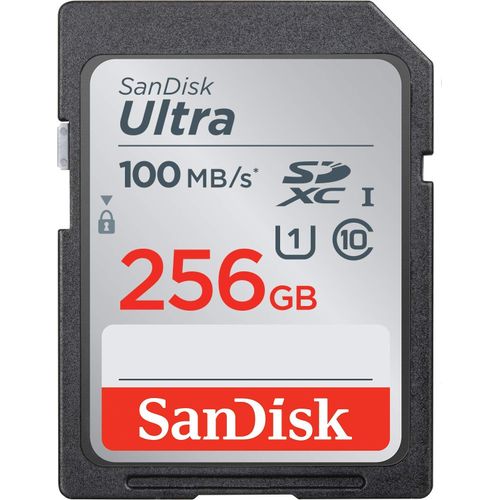 256GB SanDisk camera memory card