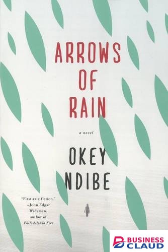 Arrows of Rain