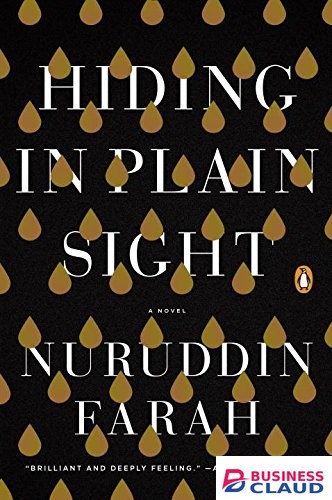 Hiding in Plain Sight