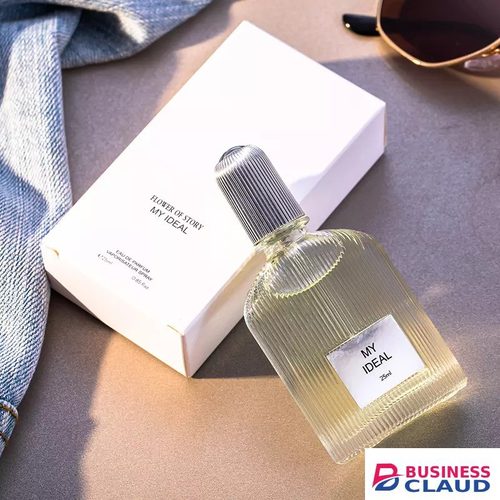 4 PCS Men Perfumes Eau De Parfum Set Long Lasting Perfume Set Silver Charm Mountain Spring Fresh Light Fragrance Perfumes 4 Different Aromas