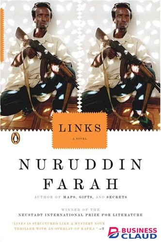 Links: A Novel (Past Imperfect Trilogy)
