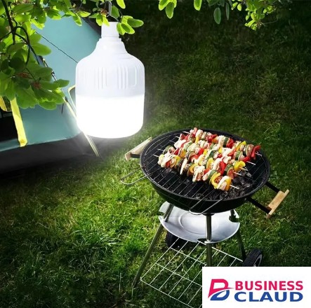 Free Chargable reading lights + free charging cableOutdoor USB Rechargeable LED Lamp Bulbs Emergency Light 20W 40W 80W 150W Portable Hook Up Camping Lights Home Decor Night Light + free charging cable in Cables-led-light-flashlight