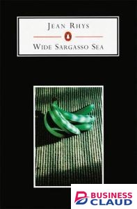 Wide Sargasso Sea