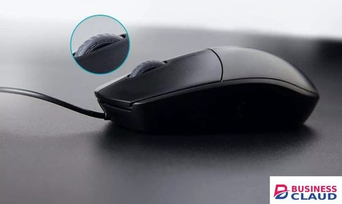 Rapoo N100 Wired Optical Mouse, 1600 DPI Sensor, Ergonomic Design, 3 Buttons Including 2D Non-Slip Scroll Wheel, High Resolution Design in One-printer