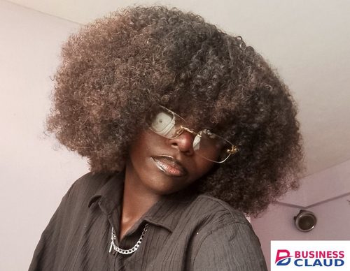 Premium Premium Burgundy Afro Wig - Kinky Curly High Volume (Color 133) in 1-hot-comb-straightener-electric-hair-straightener-hair-curler-wet-dry-use-hair-flat-irons-hot