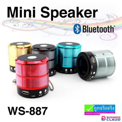 Portable Mini WS-887 Portable Wireless Bluetooth Speaker with Clear Sound, Rechargeable Battery, Compact Design and Hands-Free Calling Design in Cable
