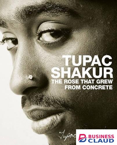 Rose that Grew From Concrete, The